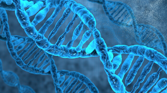 Human and animal therapeutics production 640x360