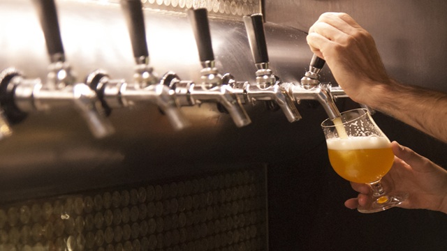 A bartender fills a glass with draft beer from a row of taps at a bar, showcasing fresh craft beer service