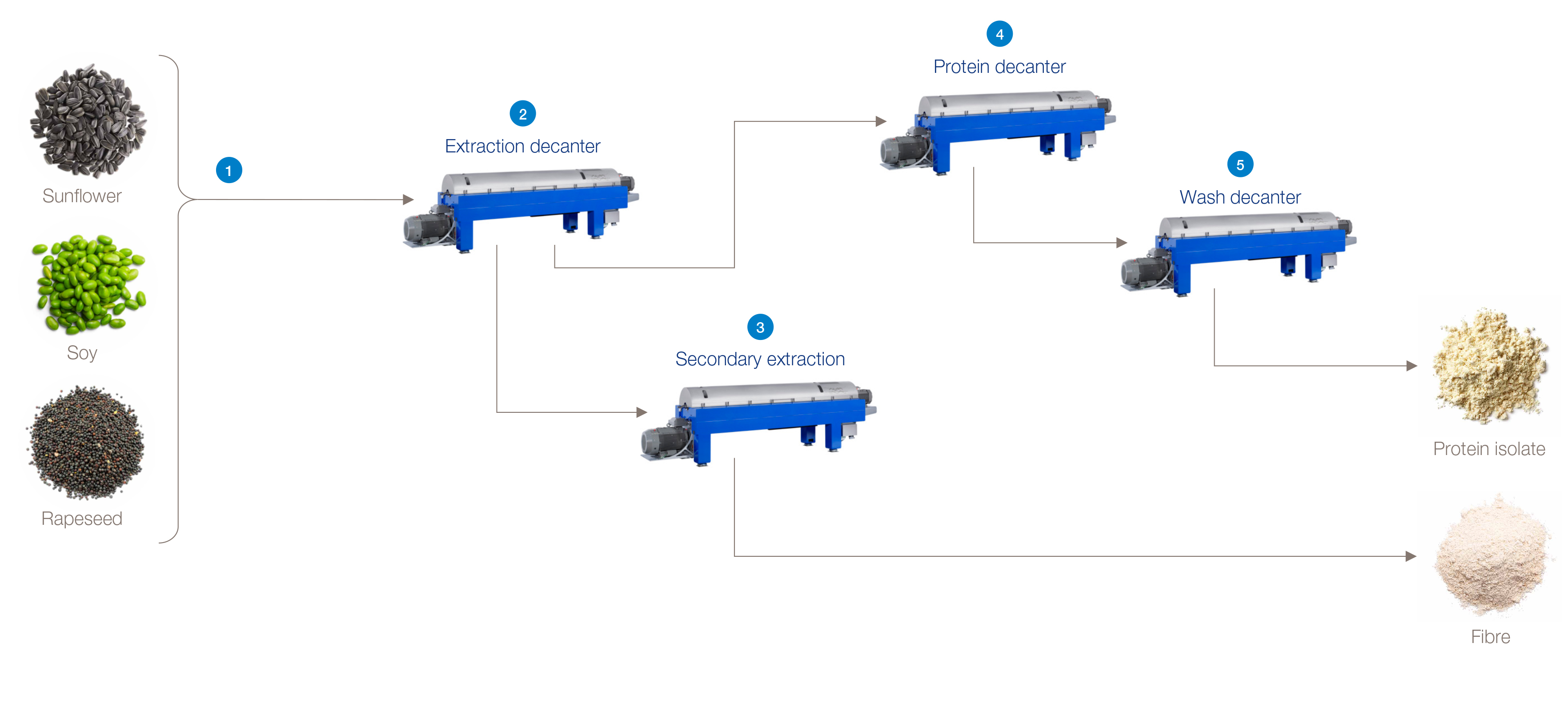 Seed oil processing diagram.jpg